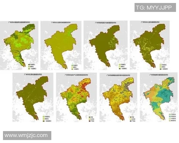 广州排球队在奥运会上的技术表现分析与点评
